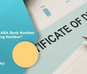 What is ABA Bank Number or Routing Number?