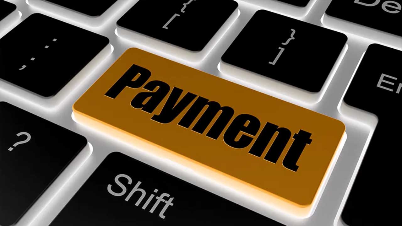 Single Payment: Definition, Meaning, Function and Example