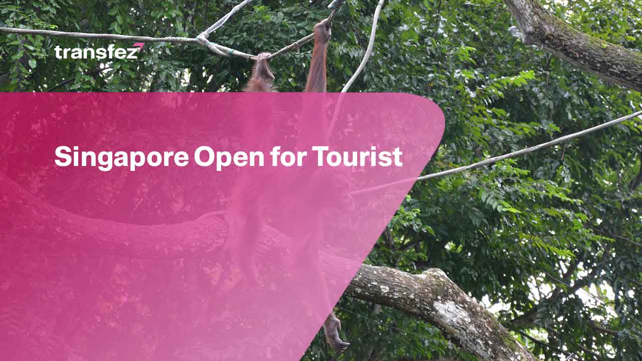 Singapore Open for Tourist