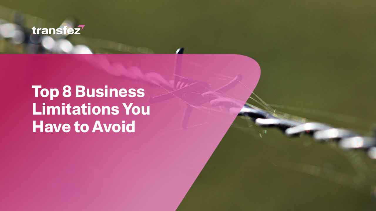 Top 8 Business Limitations