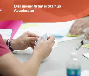 What is Startup Accelerator